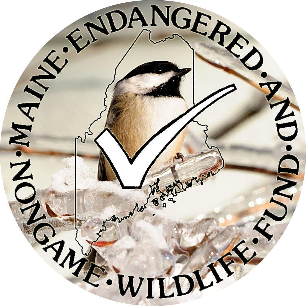 chickadee Checkoff